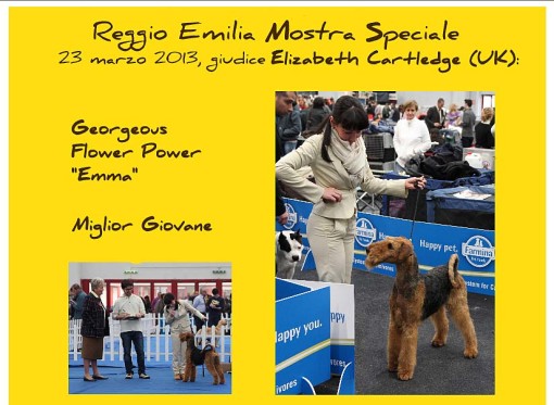 Reggio Emilia 2013 6